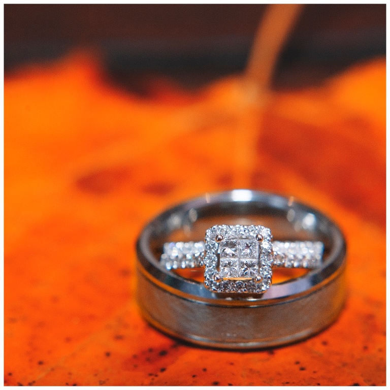 Mayernick Center Avonworth Community Park wedding Pittsburgh PA