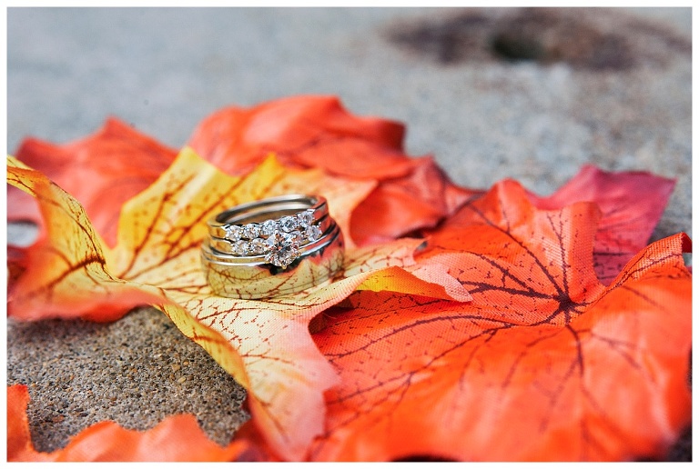 Mayernick Center Avonworth Community Park Wedding Pittsburgh