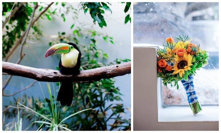 National Aviary wedding Pittsburgh PA