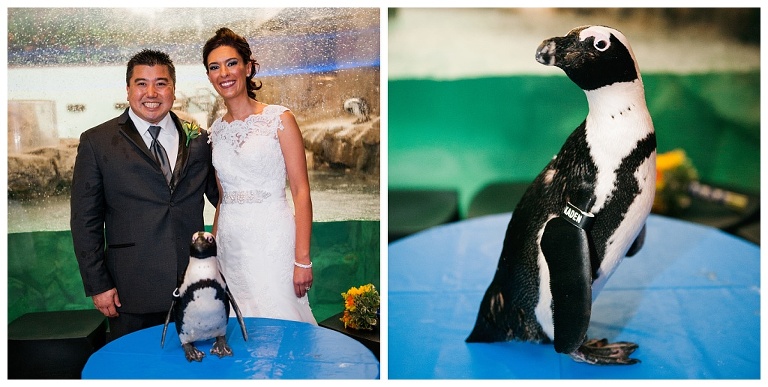 National Aviary wedding Pittsburgh PA