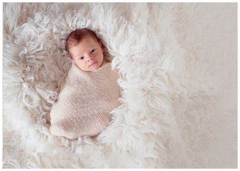 Pittsburgh posed newborn cream backdrop