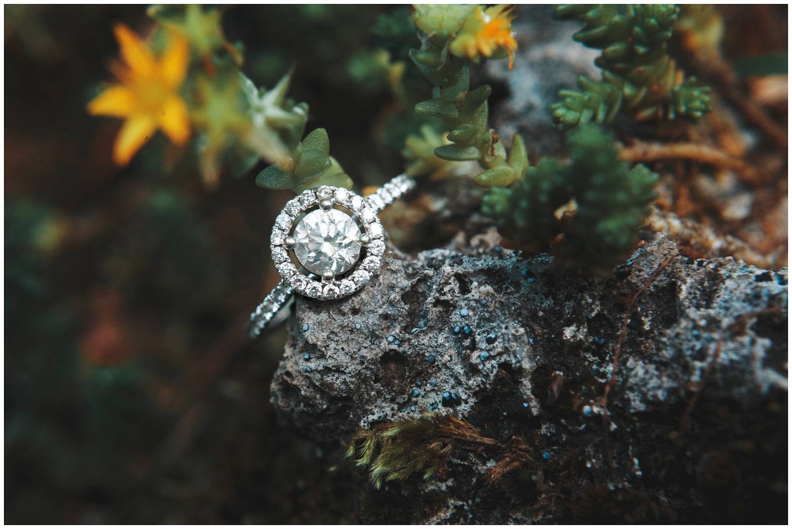 round diamond engagement ring pittsburgh