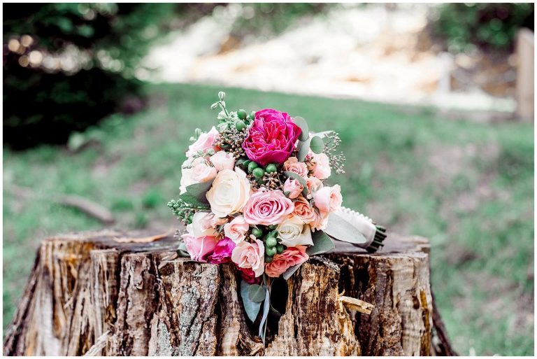 mayernick center avonworth community park wedding pittsburgh pa