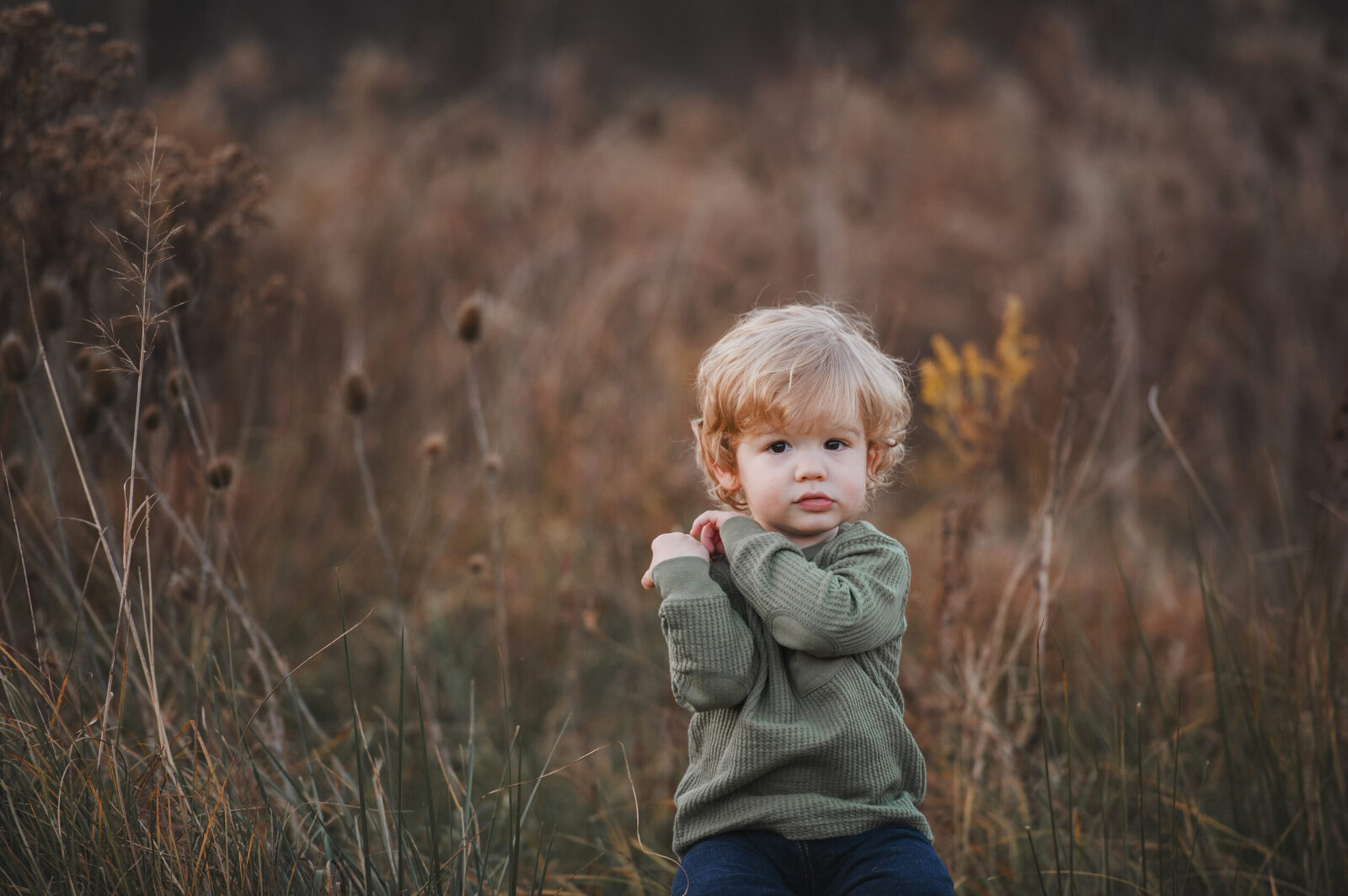 blonde curly haired toddler boy in field of tall grass in the fall